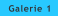 Galerie 1